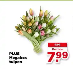 PLUS PLUS Megabos tulpen aanbieding