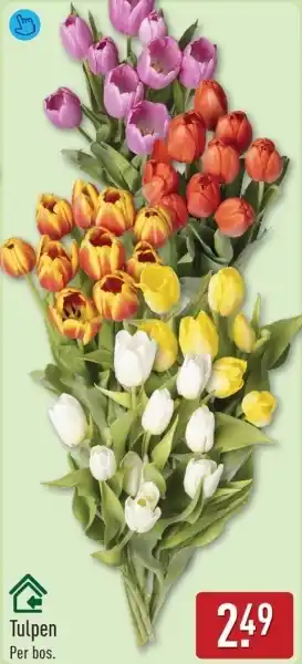 ALDI Tulpen aanbieding