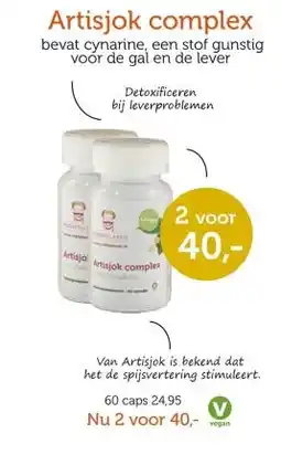 De Rode Pilaren Artisjok complex aanbieding