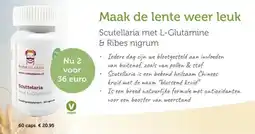De Rode Pilaren Maak de lente weer leuk aanbieding