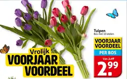 Hoogvliet Tulpen aanbieding
