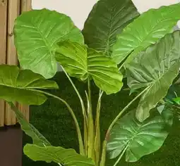 Obelink Philo tree in pot 110 cm kunstplant aanbieding