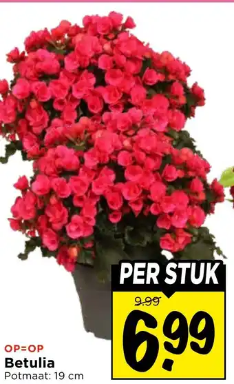 Vomar Voordeelmarkt Betulia aanbieding