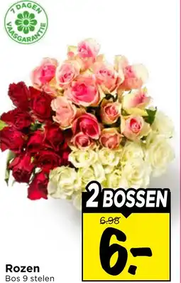 Vomar Voordeelmarkt Rozen aanbieding
