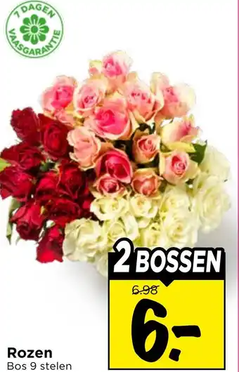 Vomar Voordeelmarkt Rozen aanbieding