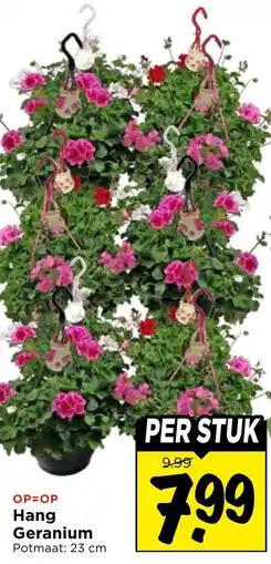 Vomar Voordeelmarkt Hang Geranium aanbieding