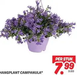 Dekamarkt HANGPLANT CAMPANULA aanbieding