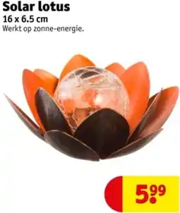 Kruidvat Solar lotus aanbieding