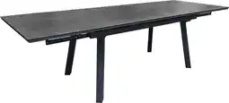 Intratuin Intratuin 10-zits eettafel Dorian antraciet 250 x 90 x 78,5 cm aanbieding