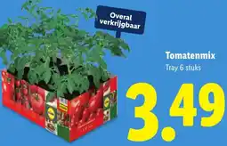 Lidl Tomatenmix aanbieding