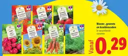 Lidl Bloem, groente en kruidenzaden aanbieding