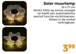 Trekpleister Solar muurlamp aanbieding