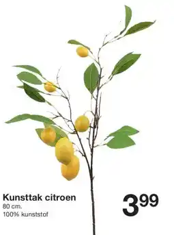 Zeeman Kunsttak citroen aanbieding