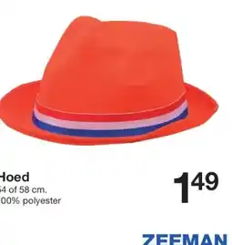 Zeeman Hoed aanbieding