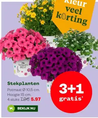 Welkoop Stekplanten aanbieding
