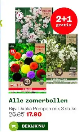 Welkoop Alle zomerbollen aanbieding