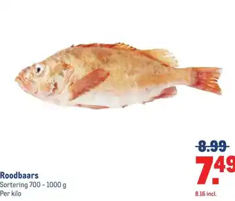 Makro Roodbaars aanbieding