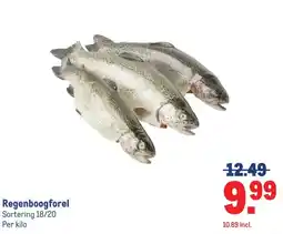 Makro Regenboogforel aanbieding