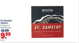 Makro St. Camelot oesters aanbieding