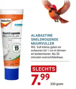 Kluswijs ALABASTINE SNELDROGENDE MUURVULLER aanbieding
