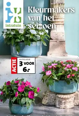 Intratuin Kleurmakers van hetintratuin Seizoen aanbieding