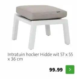 Intratuin Intratuin hocker Hidde wit 57 x 55 x 36 cm aanbieding