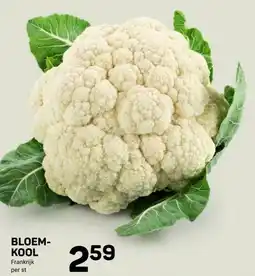 Ekoplaza BLOEM- KOOL aanbieding