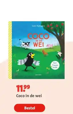 Bruna Coco in de wei aanbieding
