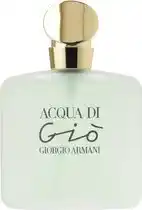 Bol.com Armani Acqua di Gio Femme - Damesparfum eau de toilette - 100ml aanbieding