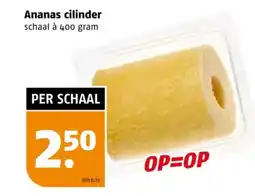 Poiesz Ananas cilinder aanbieding