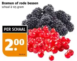 Poiesz Bramen of rode bessen aanbieding