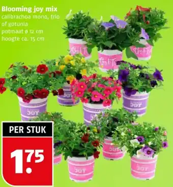 Poiesz Blooming joy mix aanbieding