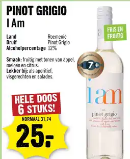 Dirck 3 Pinot grigio I Am aanbieding