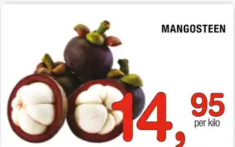 Amazing Oriëntal Mangosteen aanbieding