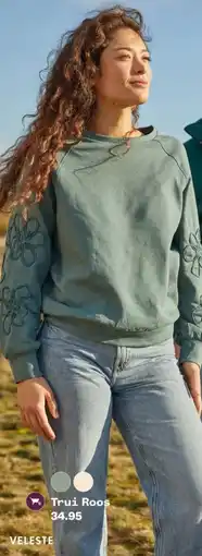 Welkoop Trui Roos aanbieding