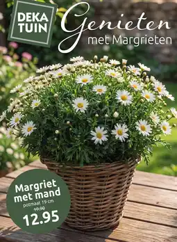 Deka Tuin Margriet met mand aanbieding