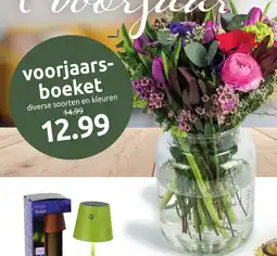 Deka Tuin Voorjaars- boeket aanbieding