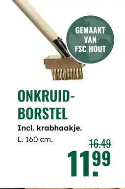 GroenRijk Onkruid- borstel aanbieding