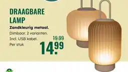 GroenRijk Draagbare lamp aanbieding
