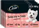 Bol.com Cesar Hondenvoer - Mix Selectie in Saus - Maaltijdzakjes - 48x100g aanbieding