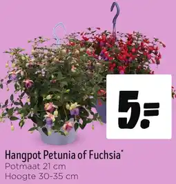 Jumbo Hangpot Petunia of Fuchsia aanbieding