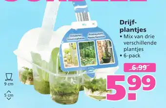 Ranzijn Drijf- plantjes 9cm aanbieding