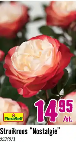 Hornbach FLORASELF® Rozenstruik Rosa Nostalgie C3 rood-wit aanbieding