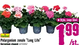Hornbach FLORASELF Pelargonium zonale 'Long Life'® potmaat Ø 10,5 cm aanbieding