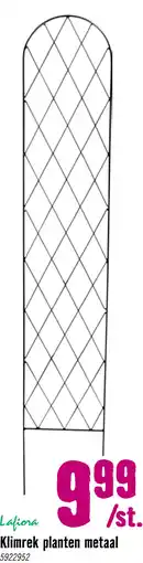 Hornbach LAFIORA Klimrek planten metaal zwart 20 x 120 cm aanbieding