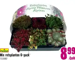 Hornbach FLORASELF Rotsplanten mix 6st aanbieding