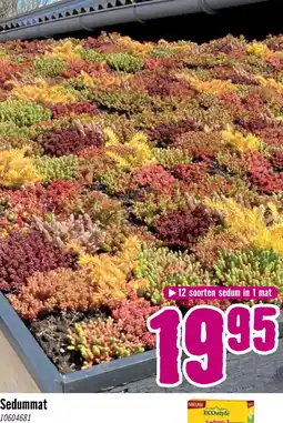 Hornbach Sedummat 50x30 cm aanbieding