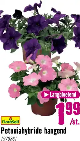 Hornbach FLORASELF Petunia Petunia x atkinsiana potmaat Ø 10.5 cm aanbieding
