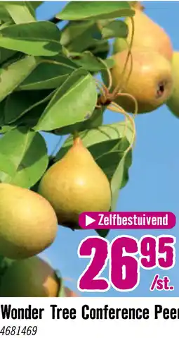 Hornbach Perenboom Wonder Tree 'Conference' Ø24 cm wit aanbieding