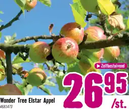 Hornbach Appelboom Wonder Tree 'Elstar' Ø24 cm wit aanbieding